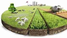 Об ответственном обращении с животными и о внесении изменений в отдельные законодательные акты Российской Федерации