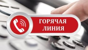 Горячая линия по вопросам пенсионного и социального законодательства