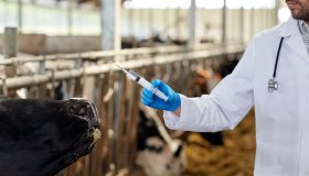 Администрация Пряжинского национального муниципального района приглашает 