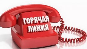 Горячая линия