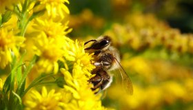 Повышения квалификации кадров