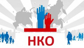 Грантовая поддержка некоммерческих неправительственных организаций