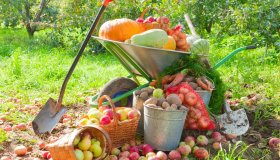 Общероссийская акция «ДОБРЫЙ ОГОРОД»